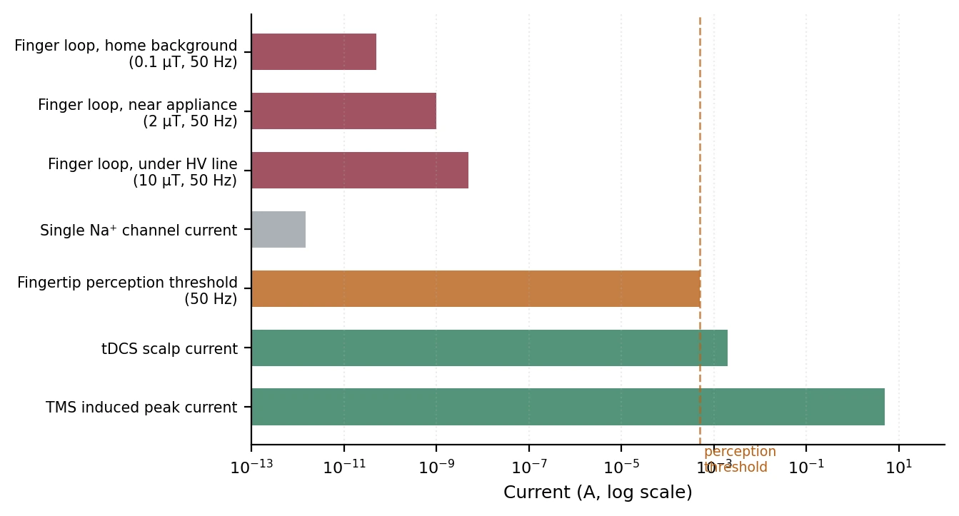 Figure 4. Logarithmic comparison of computed finger-loop induction currents against physiologically and clinically meaningful reference magnitudes. Even the worst-case ambient exposure remains approximately five to six orders of magnitude below both the fingertip electrical perception threshold and transcranial direct current stimulation.